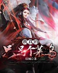 我真的只是个菜鸟我真的只是个菜鸟