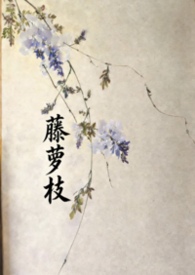 藤萝枝藤萝枝